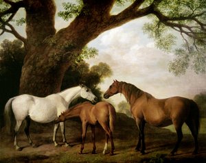 Dalawang Shafto Mares at isang Foal, 1774 finn